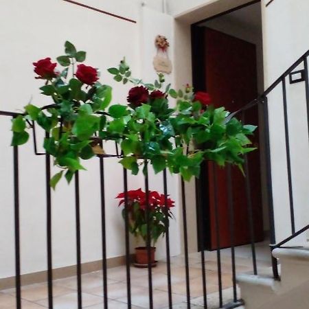 Hotel La Rosa Rossa Bari Zewnętrze zdjęcie